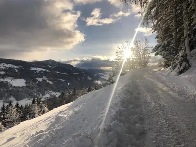 Naturlandschaft in der Nähe des Chalets