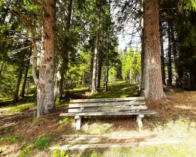 Naturlandschaft in der Nähe der Ferienwohnung
