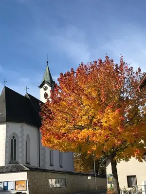 Grundriss der Unterkunft Steiner Stammhaus