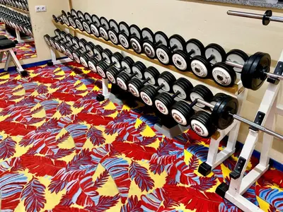 Das Fitnesscenter und/oder die Fitnesseinrichtungen in der Unterkunft Apartment Hofresidenz-1 by Interhome