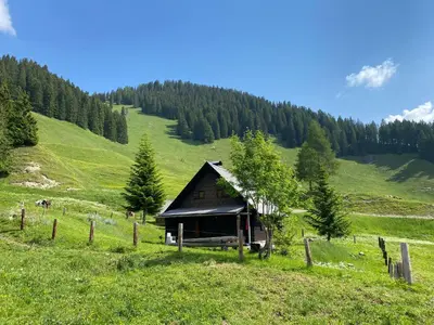 Naturlandschaft in der Nähe des Ferienhauses