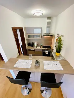 Küche/Küchenzeile in der Unterkunft Schafberg nahe Zentrum Einzimmer Ferienwohnung