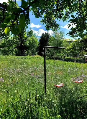 Ein Garten an der Unterkunft Ski & Alps Tamsweg