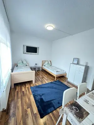 TV/Unterhaltungsangebot in der Unterkunft Appartement Schwanenstadt