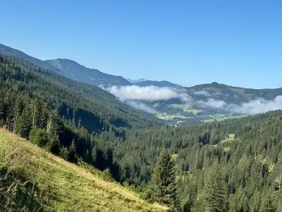 Naturlandschaft in der Nähe der Ferienwohnung