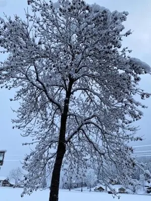 Papagenoblick im Winter
