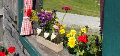 Ein Garten an der Unterkunft Papagenoblick