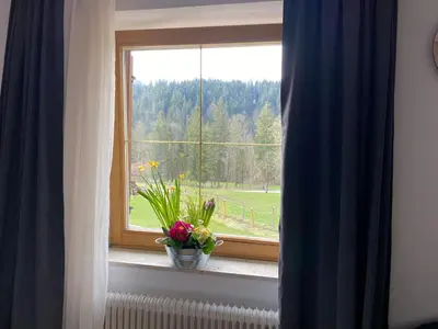 Naturlandschaft in der Nähe des Privatzimmers
