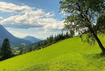 Naturlandschaft in der Nähe des Chalets