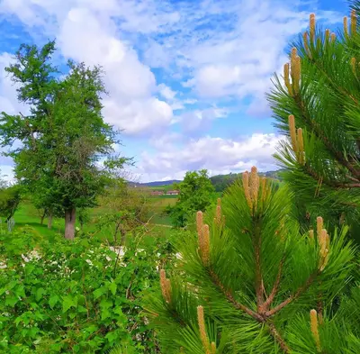 Naturlandschaft in der Nähe der Ferienwohnung