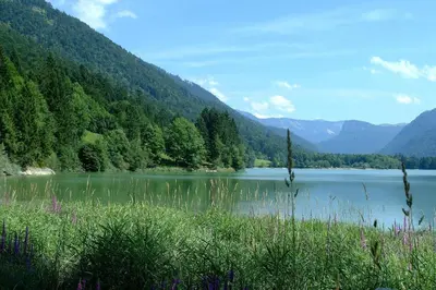 Naturlandschaft in der Nähe des Ferienhauses