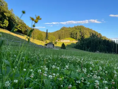 Naturlandschaft in der Nähe der Ferienwohnung