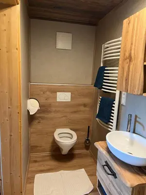Ein Badezimmer in der Unterkunft Apartment Hochsteinalm