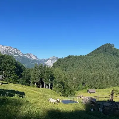 Apartment Hochsteinalm