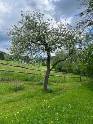 Naturlandschaft in der Nähe der Ferienwohnung