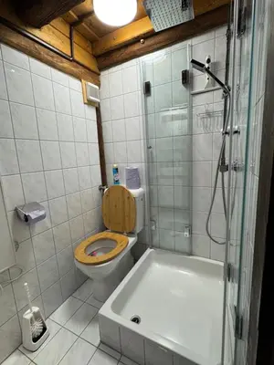 Ein Badezimmer in der Unterkunft Ferienhaus Fischerhütte Rassis Feriendorf Donnersbachwald