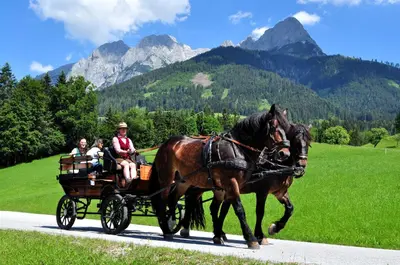 Gäste, die in der Unterkunft Pferdehof Oberegg übernachten