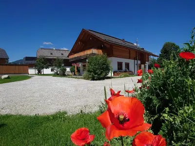 Ein Garten an der Unterkunft Penthouse Preber