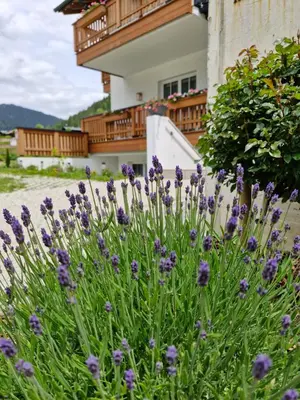 Ein Garten an der Unterkunft Feine Bleibe