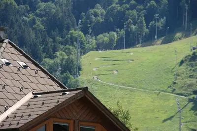 Naturlandschaft in der Nähe der Ferienwohnung