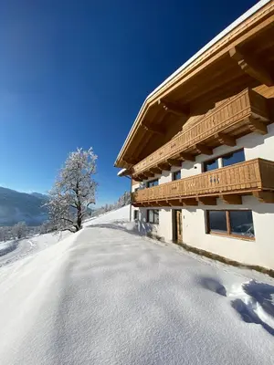 Finkhof Appartements im Winter