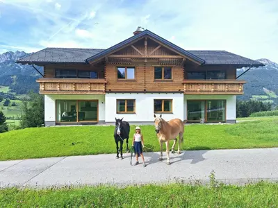 Tiere in der Ferienwohnung oder in der Nähe
