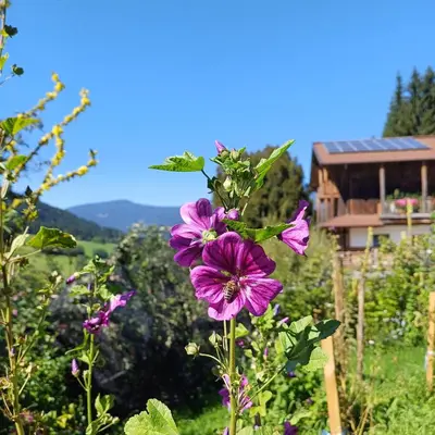 Naturlandschaft in der Nähe des Campingplatzes