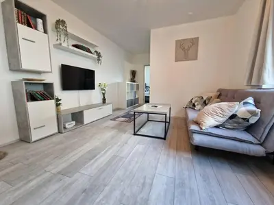 TV/Unterhaltungsangebot in der Unterkunft Appartement 214 in Bad Goisern