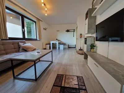 TV/Unterhaltungsangebot in der Unterkunft Appartement 214 in Bad Goisern