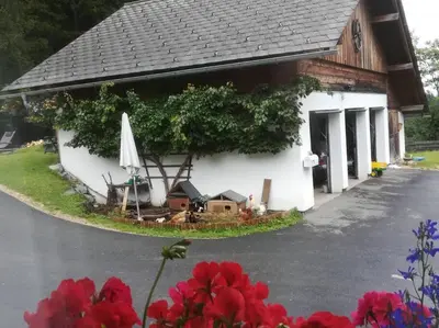 Ein Garten an der Unterkunft Ferienwohnung Ingrid