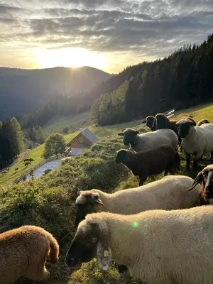 Naturlandschaft in der Nähe des Chalets