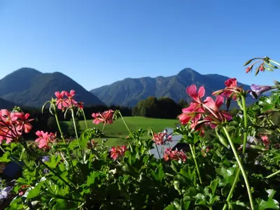 Ein allgemeiner Bergblick oder ein Berglick von der Ferienwohnung aus