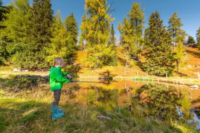 Naturlandschaft in der Nähe des Ferienhauses