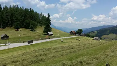 Naturlandschaft in der Nähe des Bauernhofs