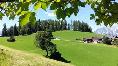 Naturlandschaft in der Nähe des Bauernhofs