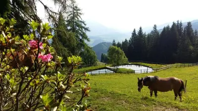 Naturlandschaft in der Nähe des Bauernhofs