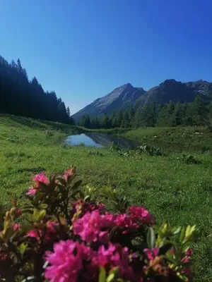 Naturlandschaft in der Nähe der Ferienwohnung