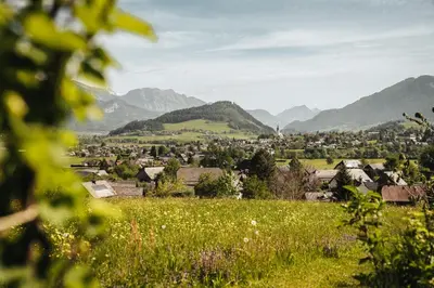 Naturlandschaft in der Nähe der Ferienwohnung