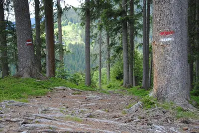 Naturlandschaft in der Nähe der Ferienwohnung