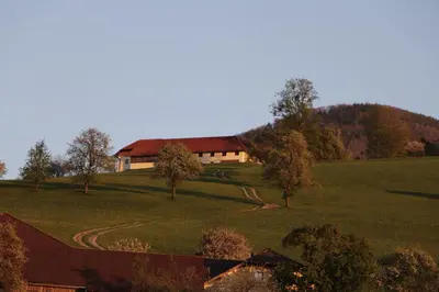 Naturlandschaft in der Nähe der Ferienwohnung