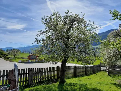 Naturlandschaft in der Nähe des Hotels