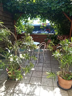 Ein Garten an der Unterkunft Rooming Green Weyregg