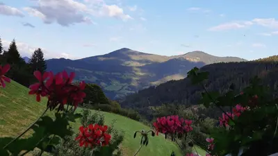 Naturlandschaft in der Nähe der Ferienwohnung