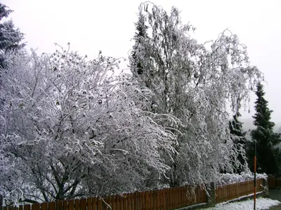 Ferienwohnung in Haidach im Winter