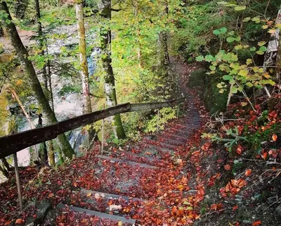 Naturlandschaft in der Nähe des Bauernhofs