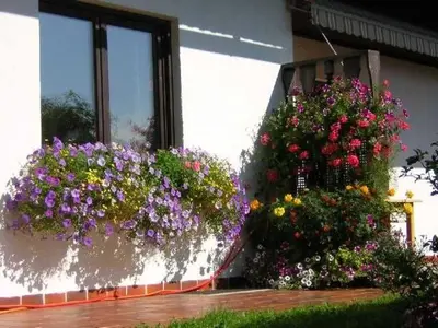 Ein Garten an der Unterkunft Angela Siedl