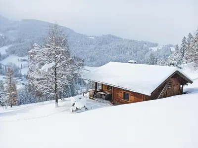 Almliesl ALTZ-718 im Winter