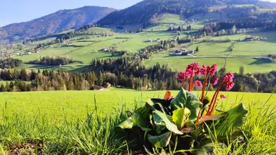 Naturlandschaft in der Nähe des Ferienhauses