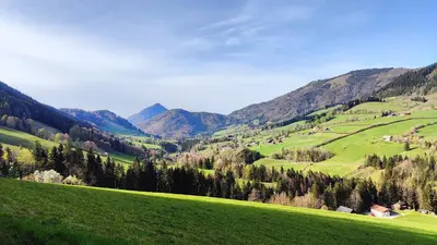Naturlandschaft in der Nähe des Ferienhauses