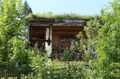 Ein Garten an der Unterkunft Chalet Alm Planai